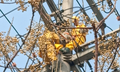 10KV華廣，華高雙回帶電拆火