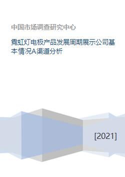 霓虹燈電極產(chǎn)品的生命周期與公司基礎(chǔ)軟件開發(fā)及渠道分析