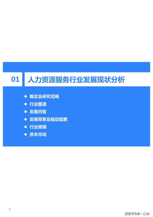 2021年中國人力資源服務行業軟件開發研究報告